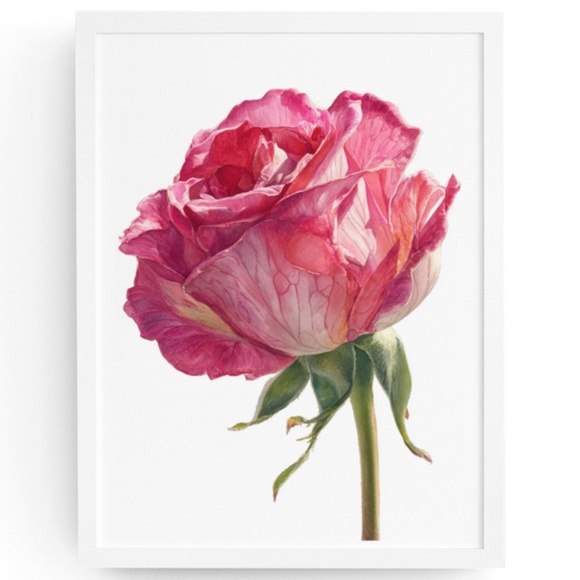Creative Path Studios Other - Watercolor Single Pink Rose Wall Art Print, Unframed - Delicate Floral Elegance